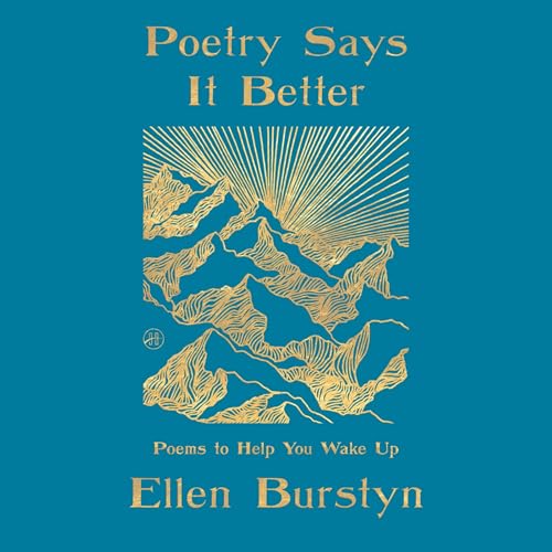 Cover of Poetry Says It Better