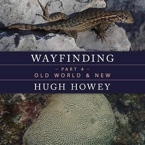 Cover of Wayfinding Part 4: Old World & New