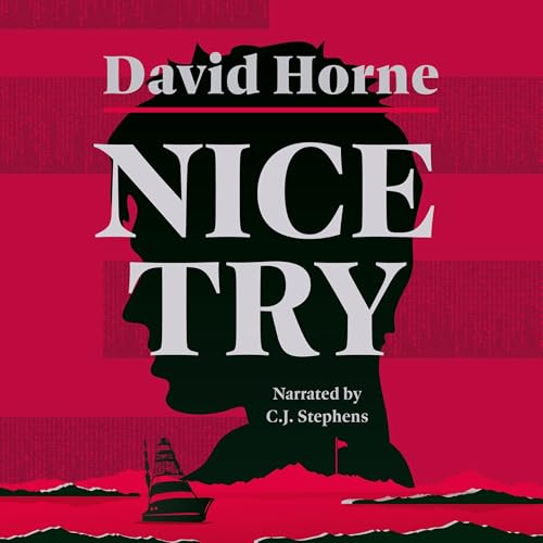 Cover of Nice Try