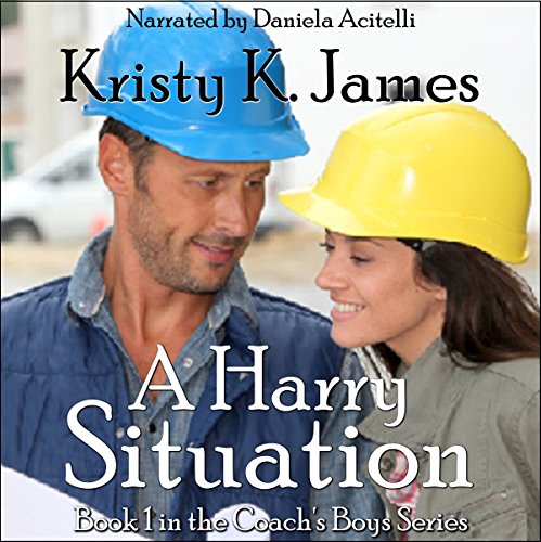 Cover of A Harry Situation