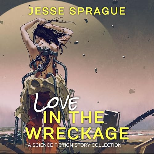 Cover of Love in the Wreckage