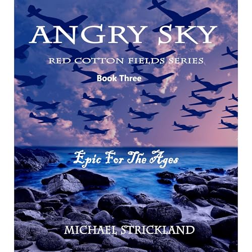 Cover of Angry Sky
