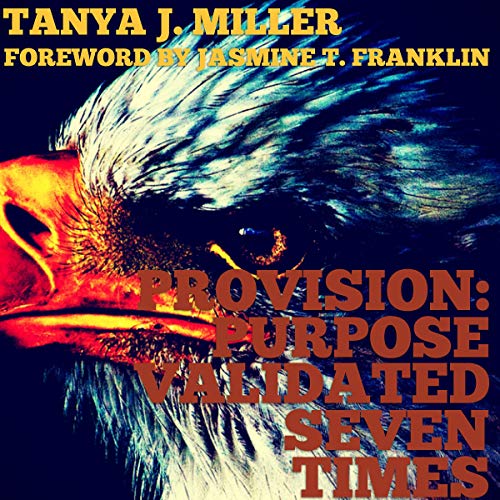 Cover of ProVision: Purpose Validated Times Seven