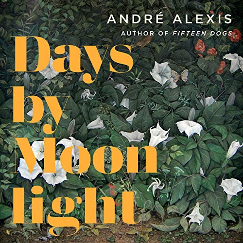 Cover of Days by Moonlight