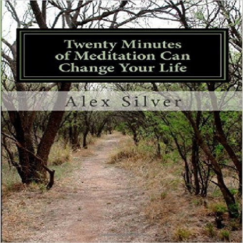 Cover of Twenty Minutes of Meditation Can Change Your Life