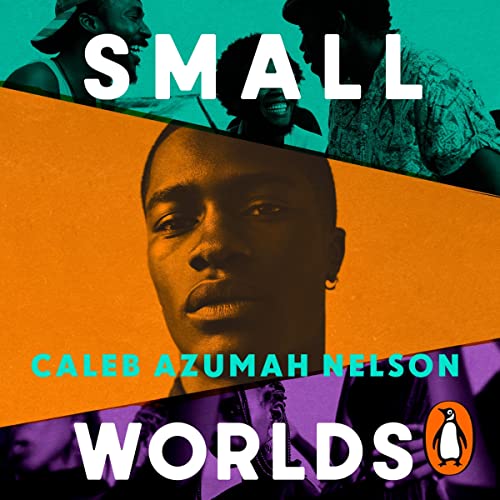 Cover of Small Worlds