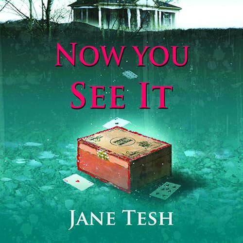 Cover of Now You See It