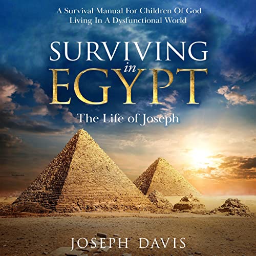 Cover of Surviving in Egypt