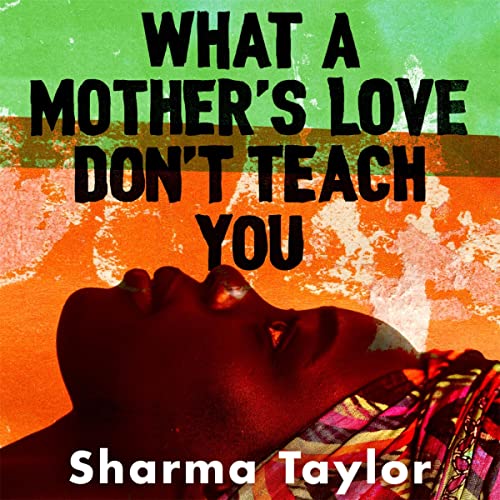 Cover of What a Mother's Love Don't Teach You