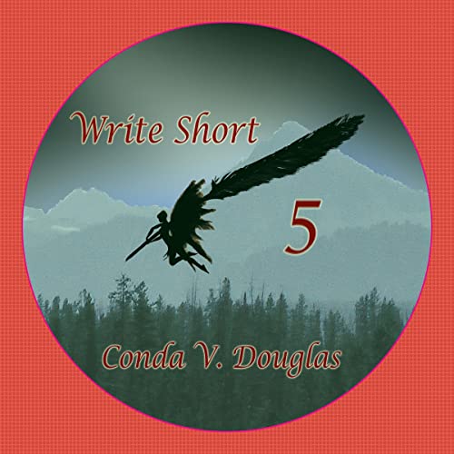 Cover of Write Short 5: Write Conflict to Succeed