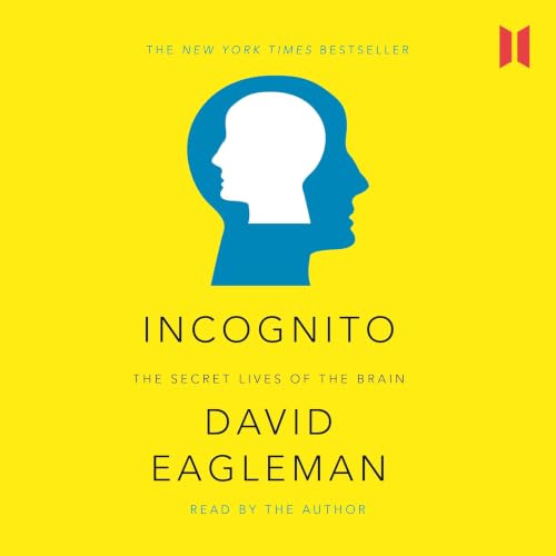 Cover of Incognito