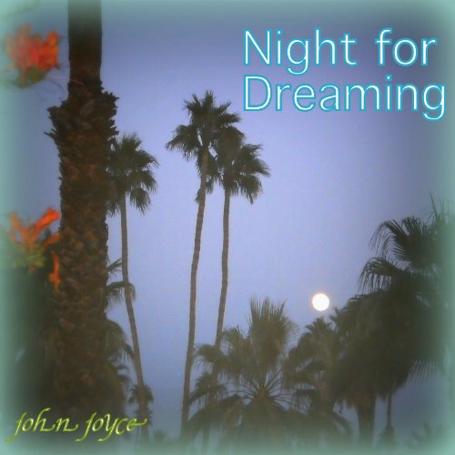 Cover of Night for Dreaming