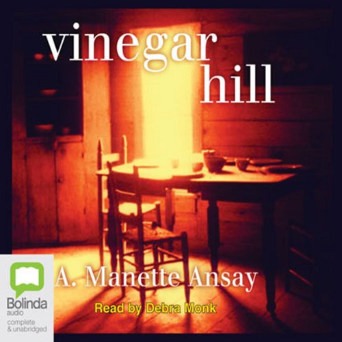 Cover of Vinegar Hill