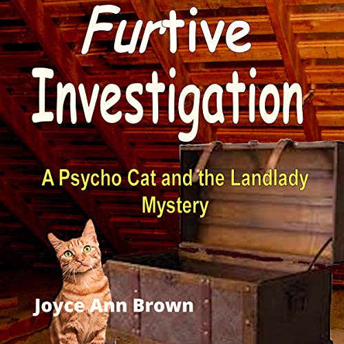 Cover of Furtive Investigation
