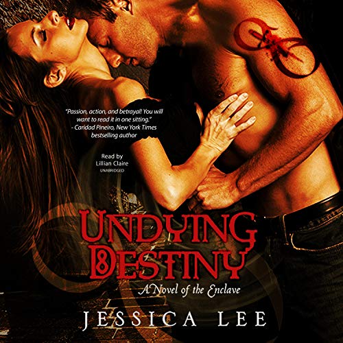 Cover of Undying Destiny