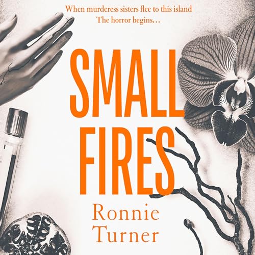 Cover of Small Fires