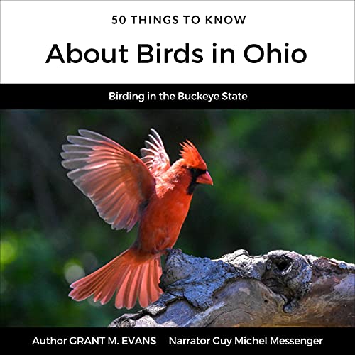 Cover of 50 Things to Know About Birds in Ohio