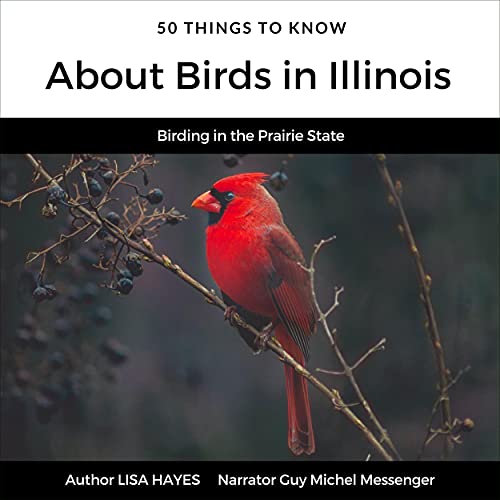 Cover of 50 Things to Know About Birds in Illinois