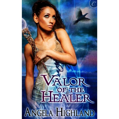 Cover of Valor of the Healer