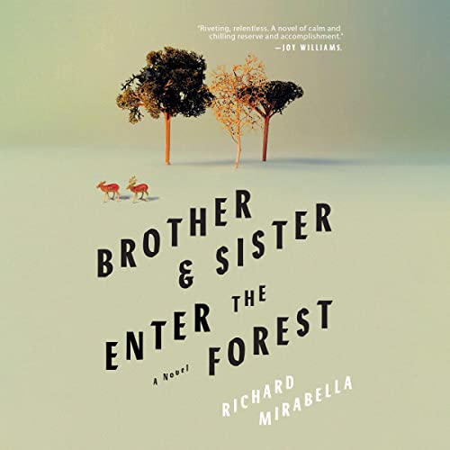 Cover of Brother & Sister Enter the Forest