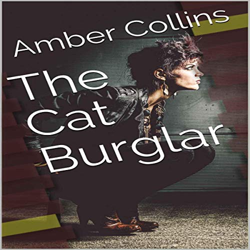 Cover of The Cat Burglar