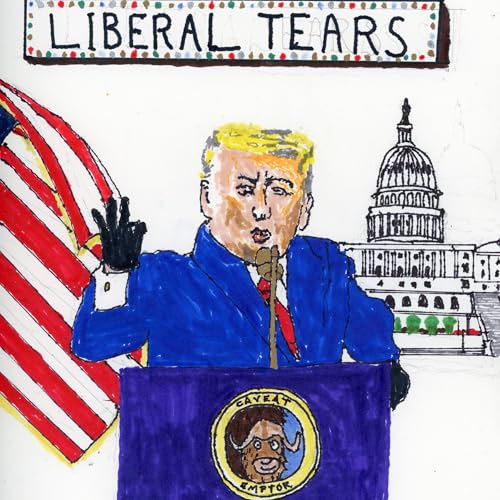 Cover of Liberal Tears
