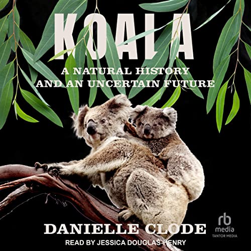 Cover of Koala
