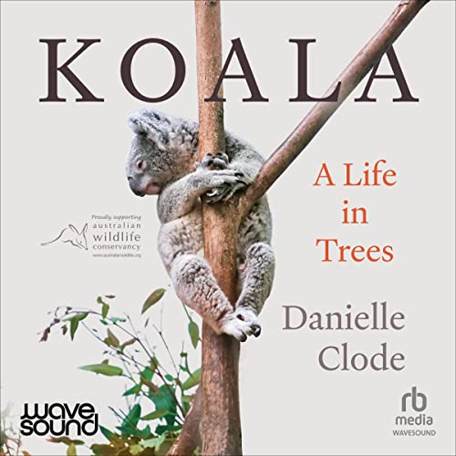 Cover of Koala
