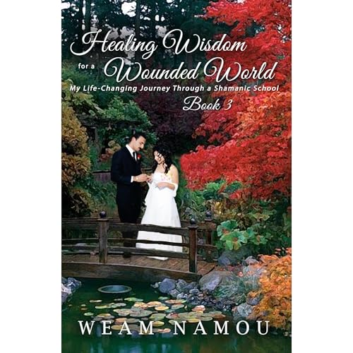 Cover of Healing Wisdom for a Wounded World