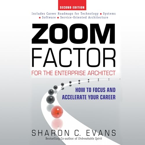 Cover of Zoom Factor for the Enterprise Architect