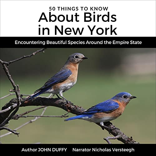 Cover of 50 Things to Know About Birds in New York