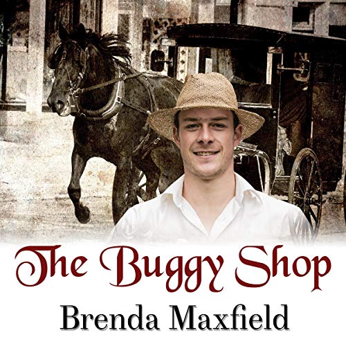 Cover of The Buggy Shop
