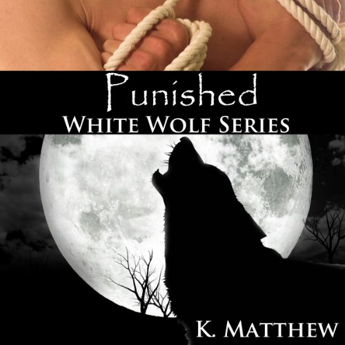 Cover of Punished