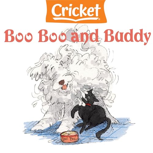 Cover of Boo Boo and Buddy