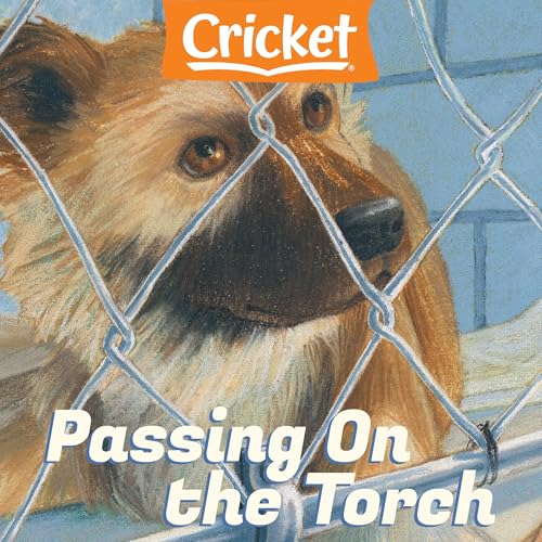 Cover of Passing On the Torch