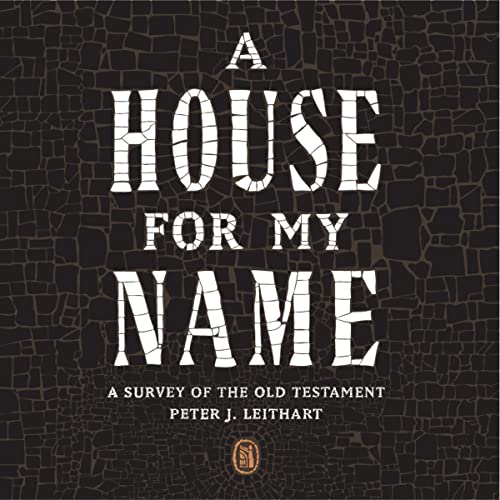 Cover of A House for My Name