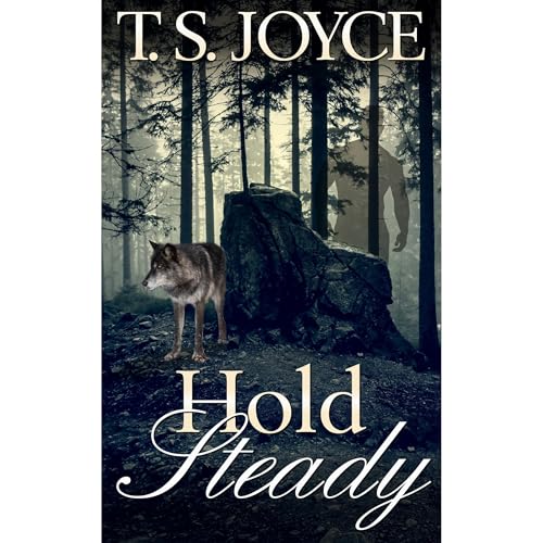 Cover of Hold Steady