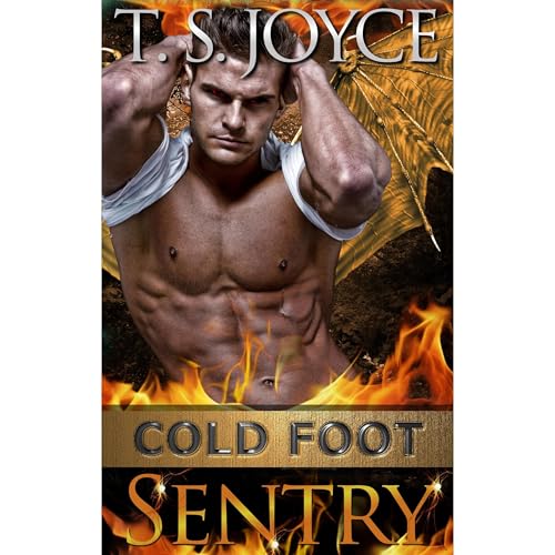 Cover of Cold Foot Sentry