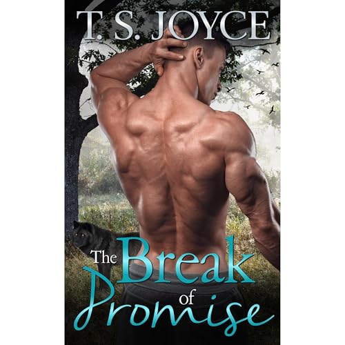 Cover of The Break of Promise