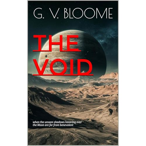 Cover of THE VOID