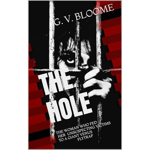 Cover of The HOLE