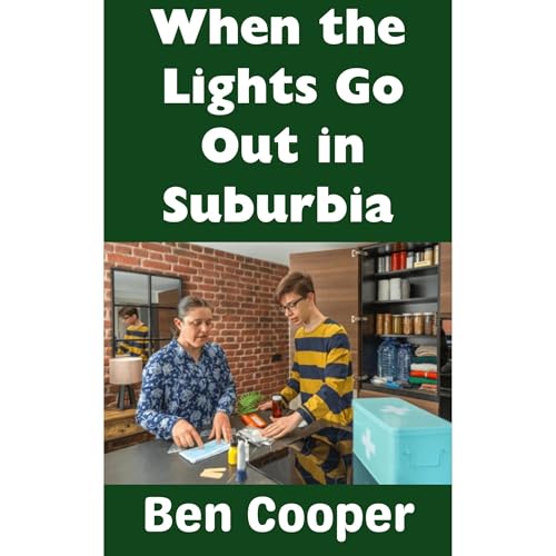 Cover of When the Lights Go Out in Suburbia