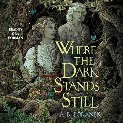 Cover of Where the Dark Stands Still