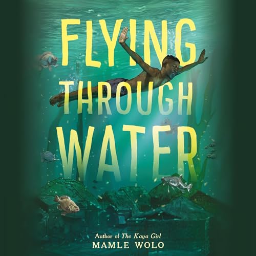 Cover of Flying Through Water