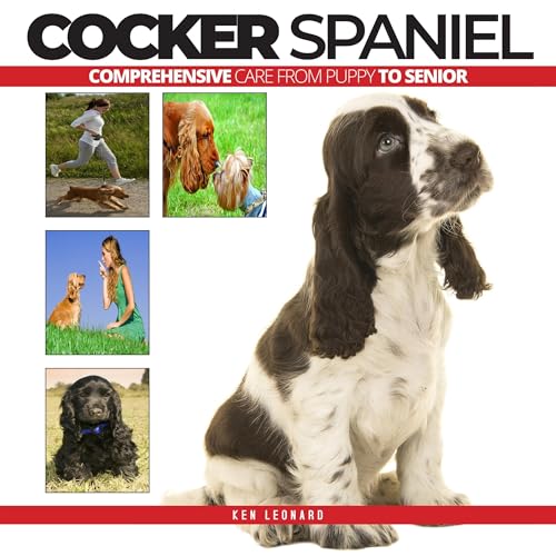 Cover of Cocker Spaniel