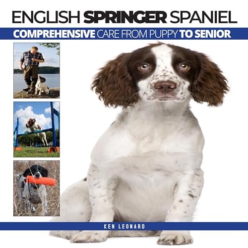 Cover of English Springer Spaniel