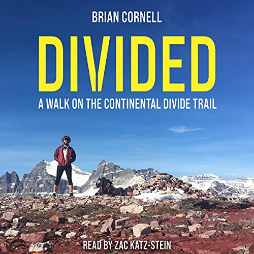 Cover of Divided