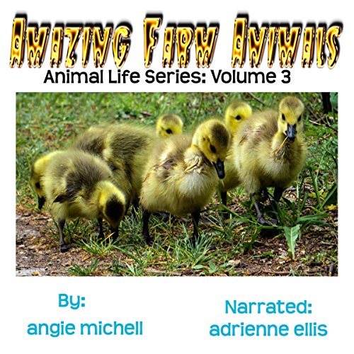 Cover of Amazing Farm Animals