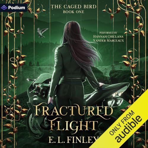 Cover of Fractured Flight