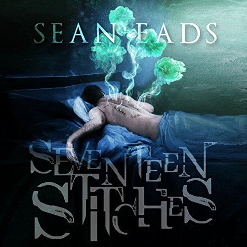 Cover of Seventeen Stitches